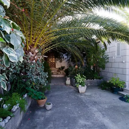 Guest house & Cvita